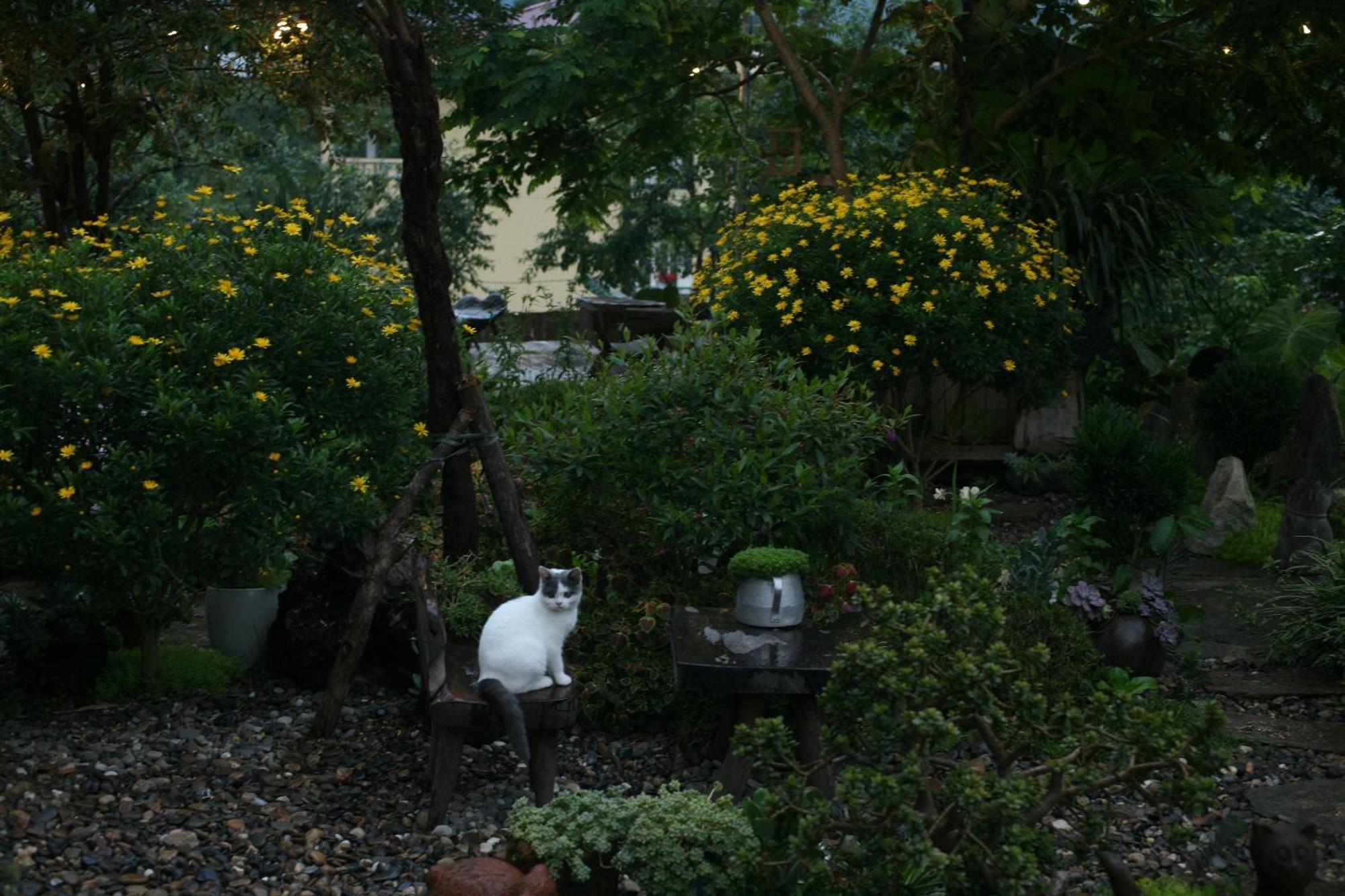 La Maison House & Bungalow Sa Pa Ngoại thất bức ảnh